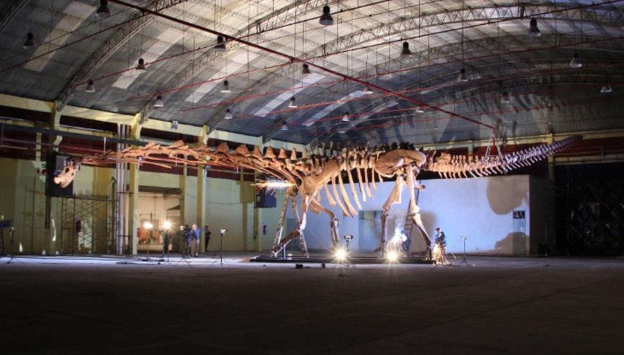 Patagotitan mayorum Patagotitan mayorum