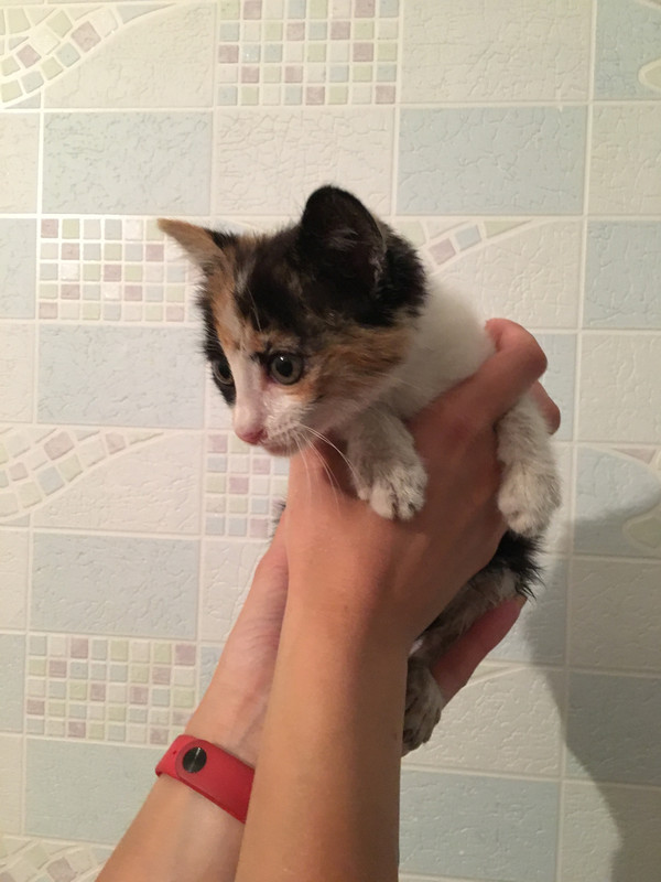 IMG_3432-23-06-18-08-12