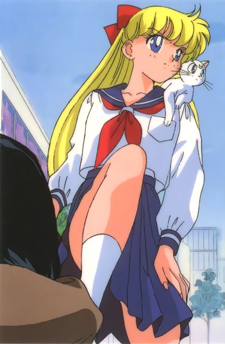 aino-minako-and-artemis-bishoujo-senshi-sailor-moon-5273e1e7b67389e233a6ccb564ddb520-1