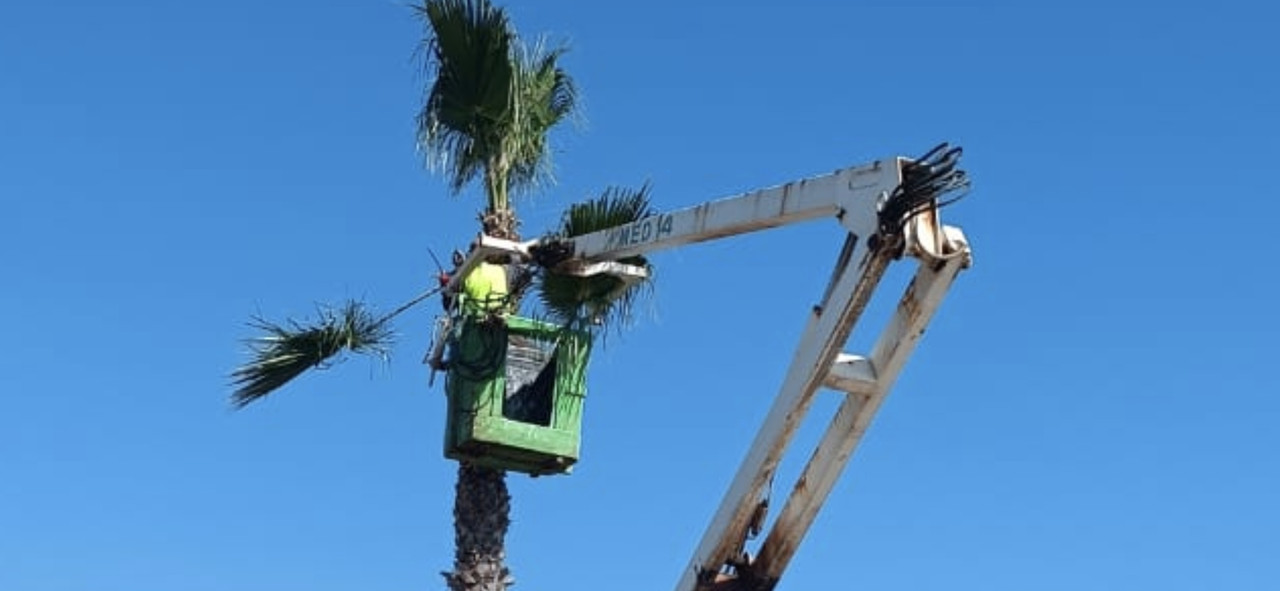 Screenshot-20260418-145646-Whats-App