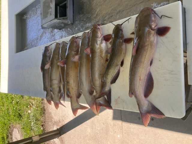 FB0128D3-4A7E-485E-B482-01CA6CA6D980