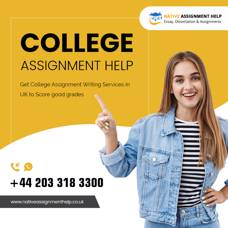 College Assignment Help