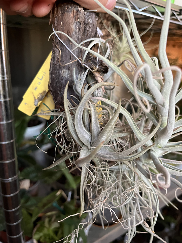 7BC2677D-0C0B-4EBD-A6AA-1460CA03ACB4