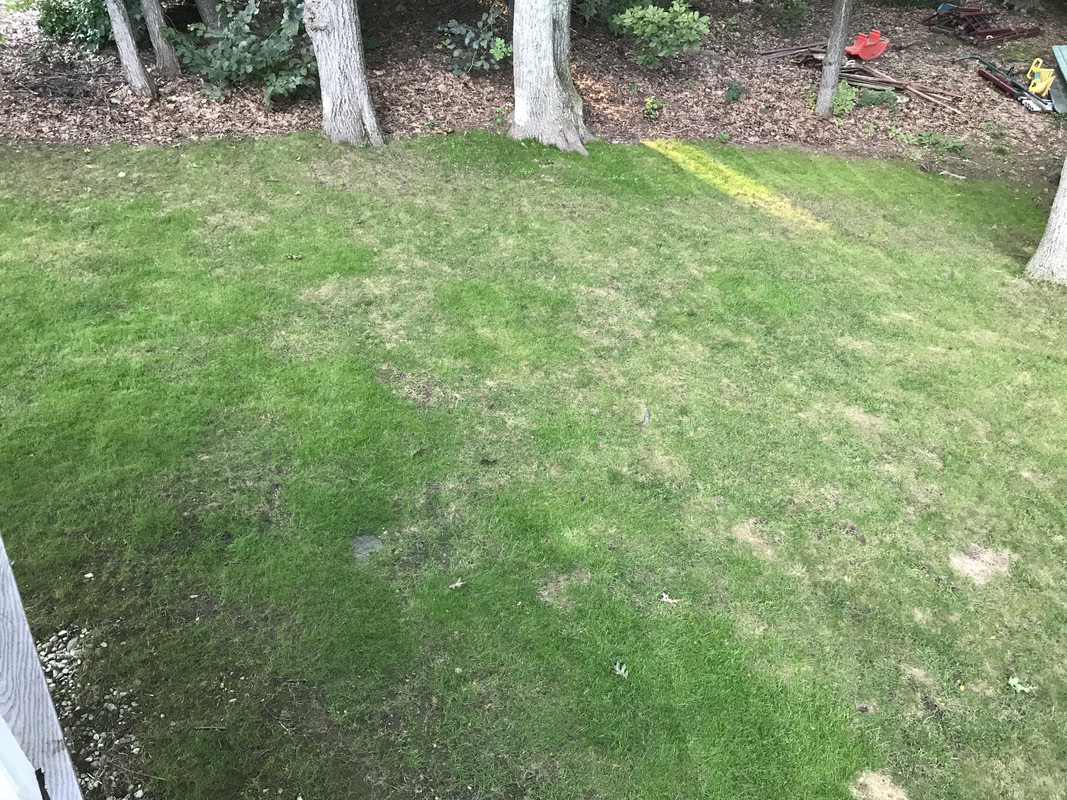 1B97B30C-E8B5-4719-8041-0598BFA0C818