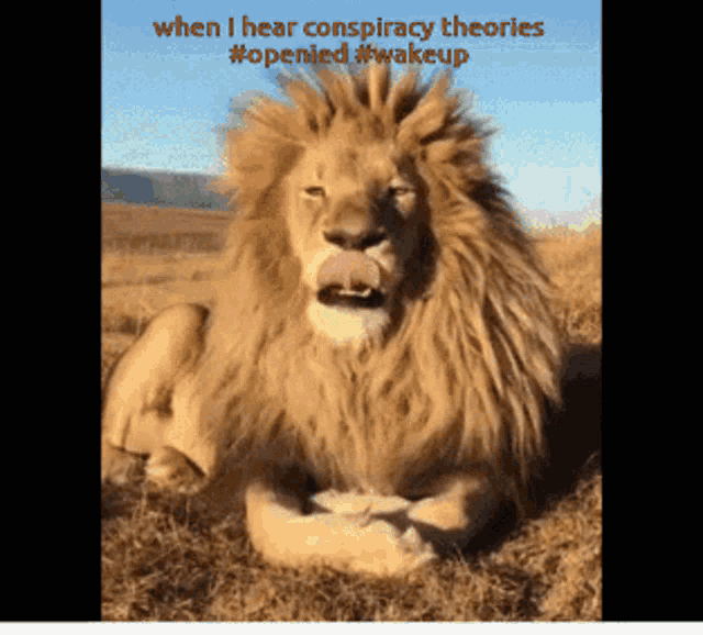 EEB65-CA1-3-B53-4-A6-C-A634-A1-A735-D697-B1.gif