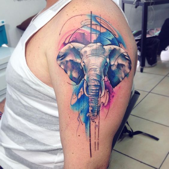 elephant