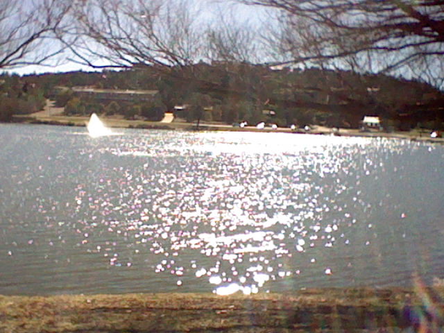 the lake sparkles like the stars (2026)