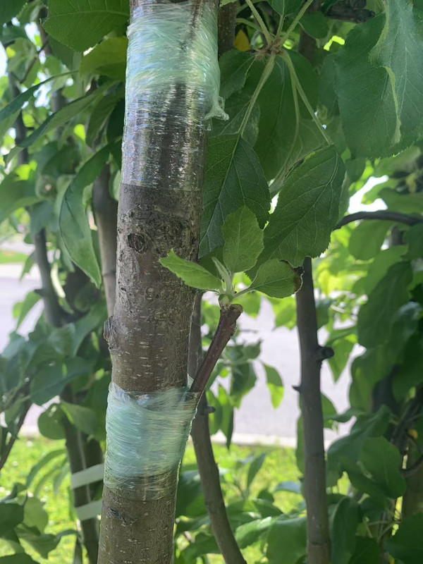 E5948A62-13A4-4C53-85A9-0B037929A402