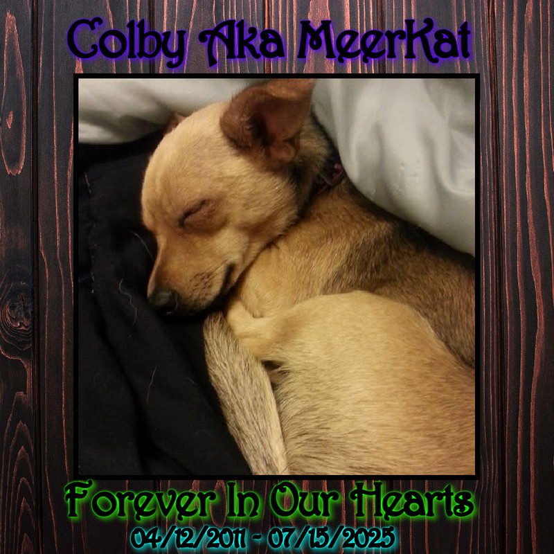 Colby-1