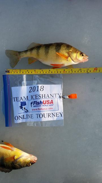 kay fish