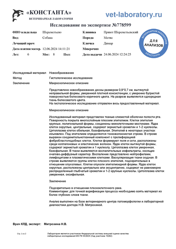 По экспертизе (778599)