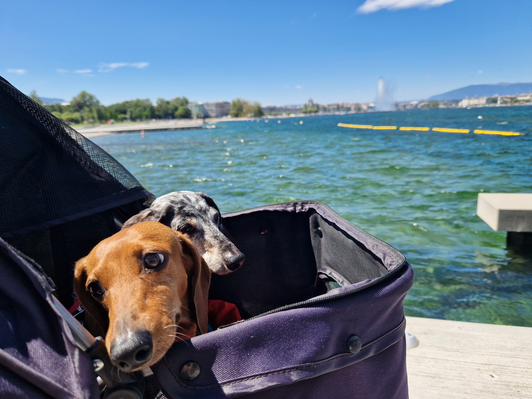 [Image: 20230802-121818.jpg]