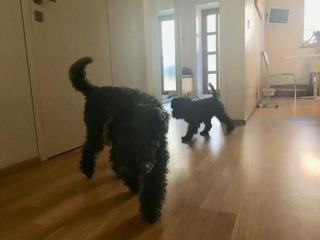 61100_D18-7214-47_EA-9_A34-_D31087277998