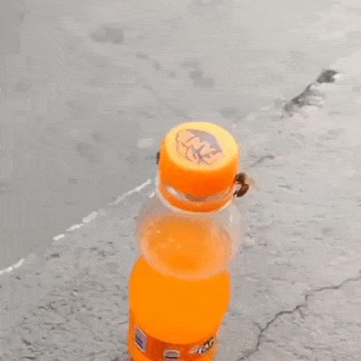 https://i.postimg.cc/dVkGB88C/4.gif