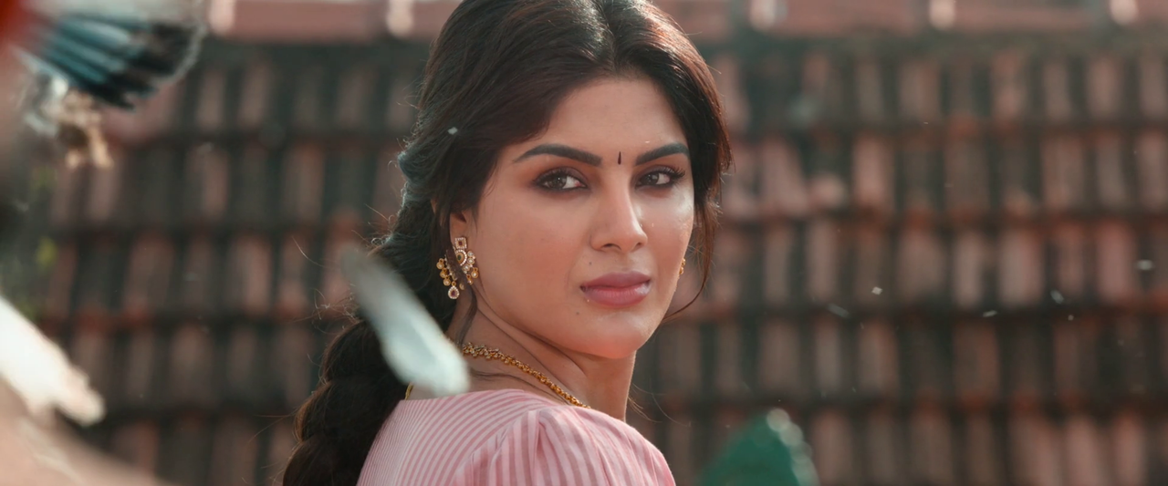 vlcsnap-2024-01-14-10h48m38s225