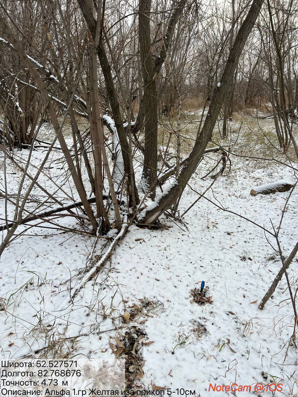 IMG 20251105 184120 506