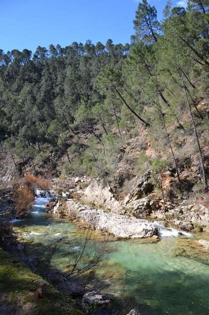RUTA RIO BOROSA-12-3-2016-JAEN - Paseando por España-1991/2016 (10)