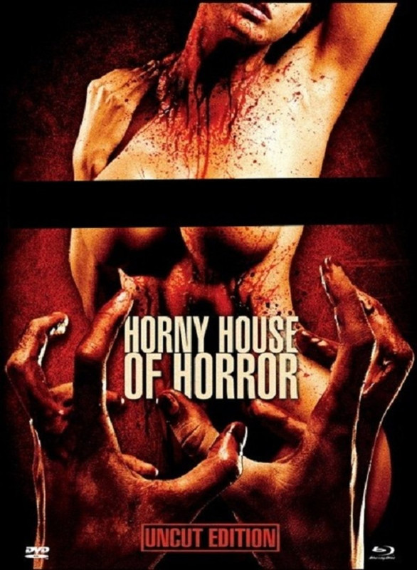 18+ Horny House of Horror (2010) Hindi (Voice Over) Dubbed + Japanese [Dual Audio] BDRip x264 AAC