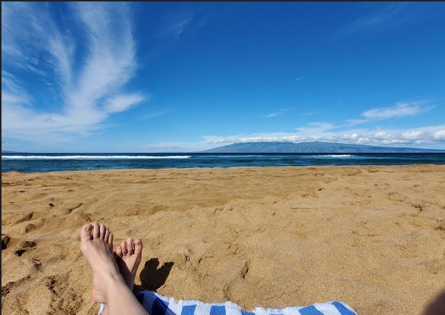 [Image: HI20241124-Maui-Lahaina-Hilton.jpg]