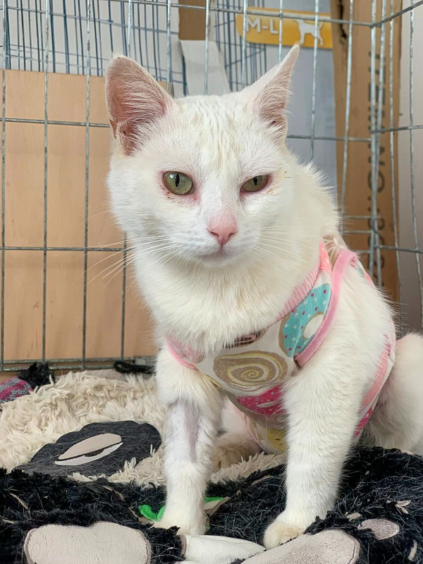 B8EA8D00-9347-473D-A447-14BE11C3063A