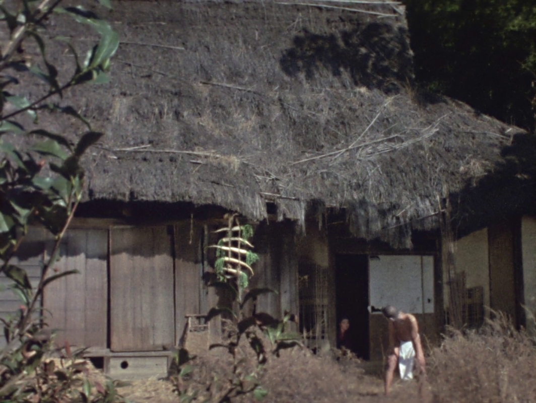 vlcsnap-2025-06-08-02h24m26s338