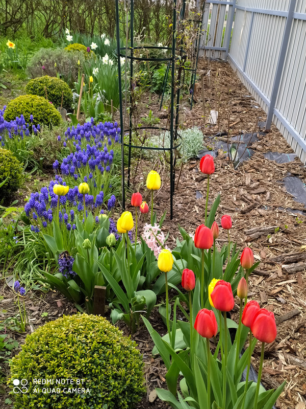 IMG_20210505_105302 (1)