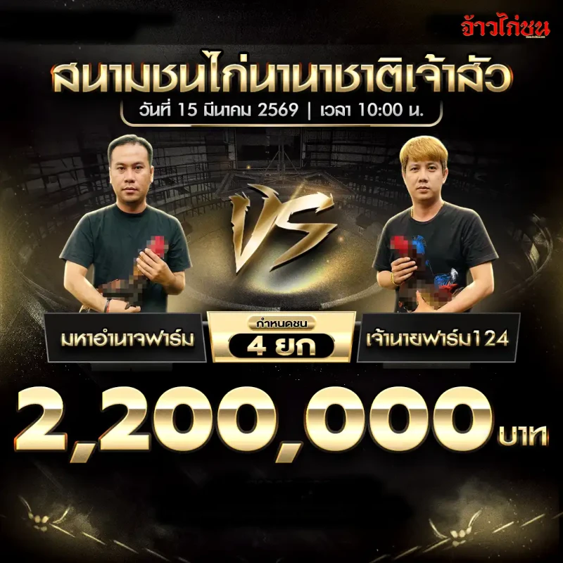 โปรแกรมไก่ชน คู่ มหาอำนาจฟาร์ม พบ เจ้านายฟาร์ม124 สนามชนไก่นานาชาติเจ้าสัว 15 มีนาคม 2569