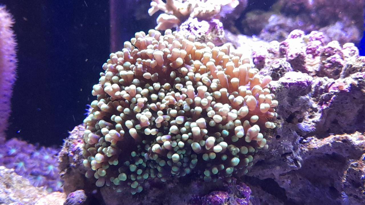 изображение_viber_2021-04-15_16-47-02