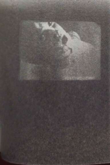 image-1725100000443-b4274a40-6f1c-4a5f-b299-3b4c9922d680.jpg
