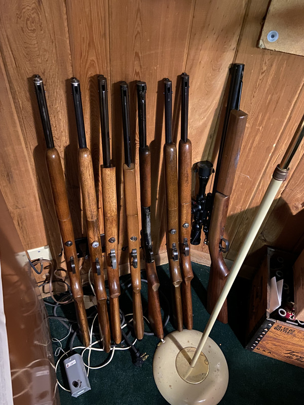 67798662274__2BBB42BA-DC31-4BE9-A859-6C655150E56A