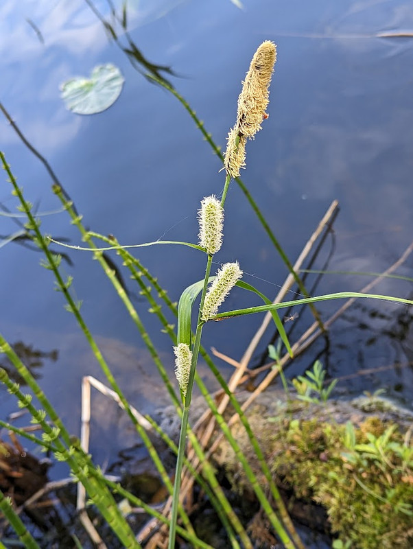 PXL_20230603_095810525