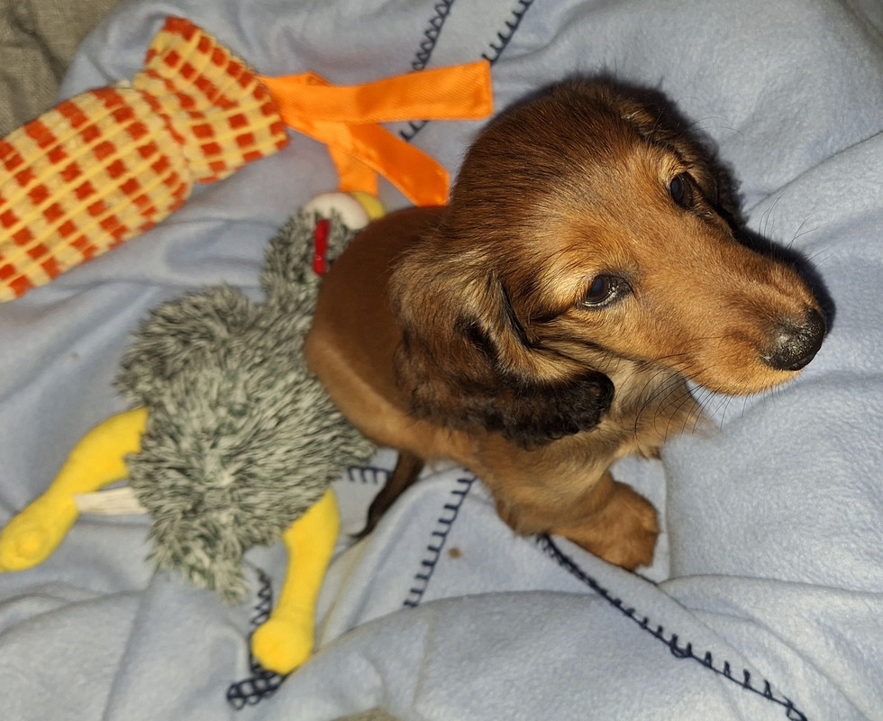 [Image: 20240906-204226.jpg]