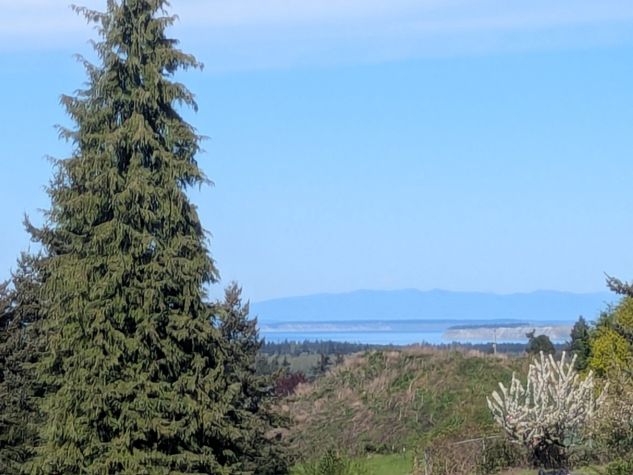 [Image: PXL-20260424-234347400.jpg]