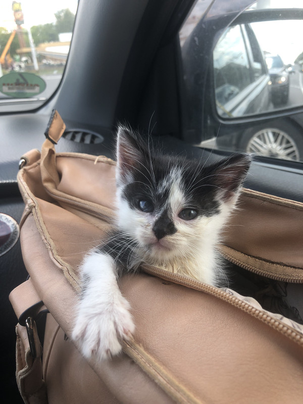 81DCD7B3-DCB1-4F48-8B9E-8C6C7CC0D650