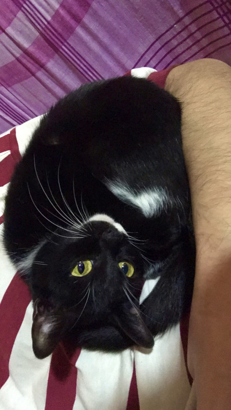 69383CB0-E370-42A0-9CC7-70331E1933F5