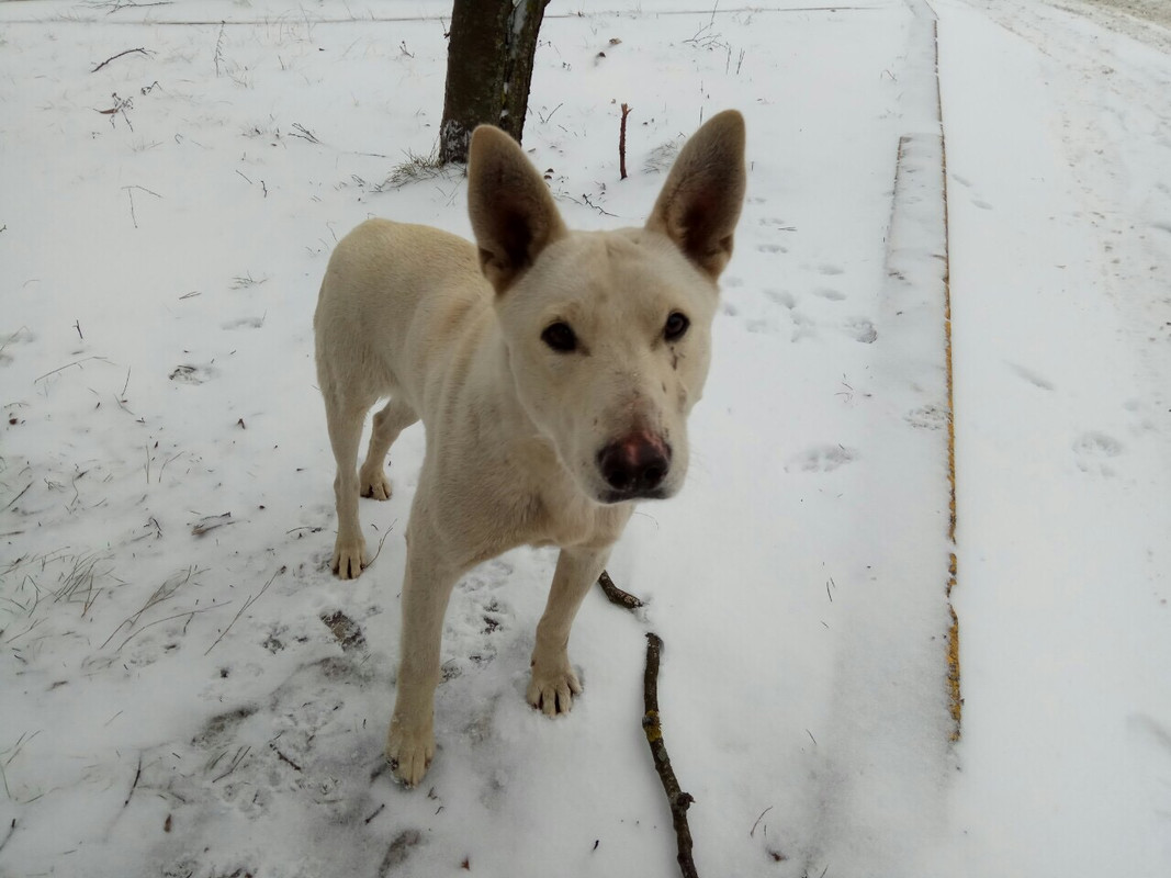 835A63A0-4A1E-49B6-A448-1A7332112A2B