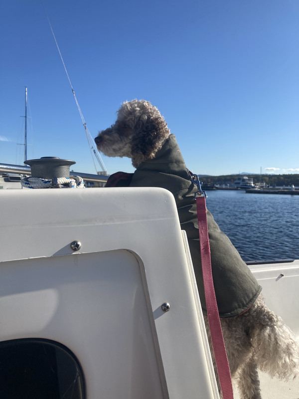 AD4428BD-E557-4621-B634-976DAA04D165