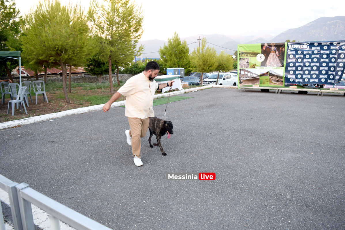 παρκο σκυλιαDSC_0981