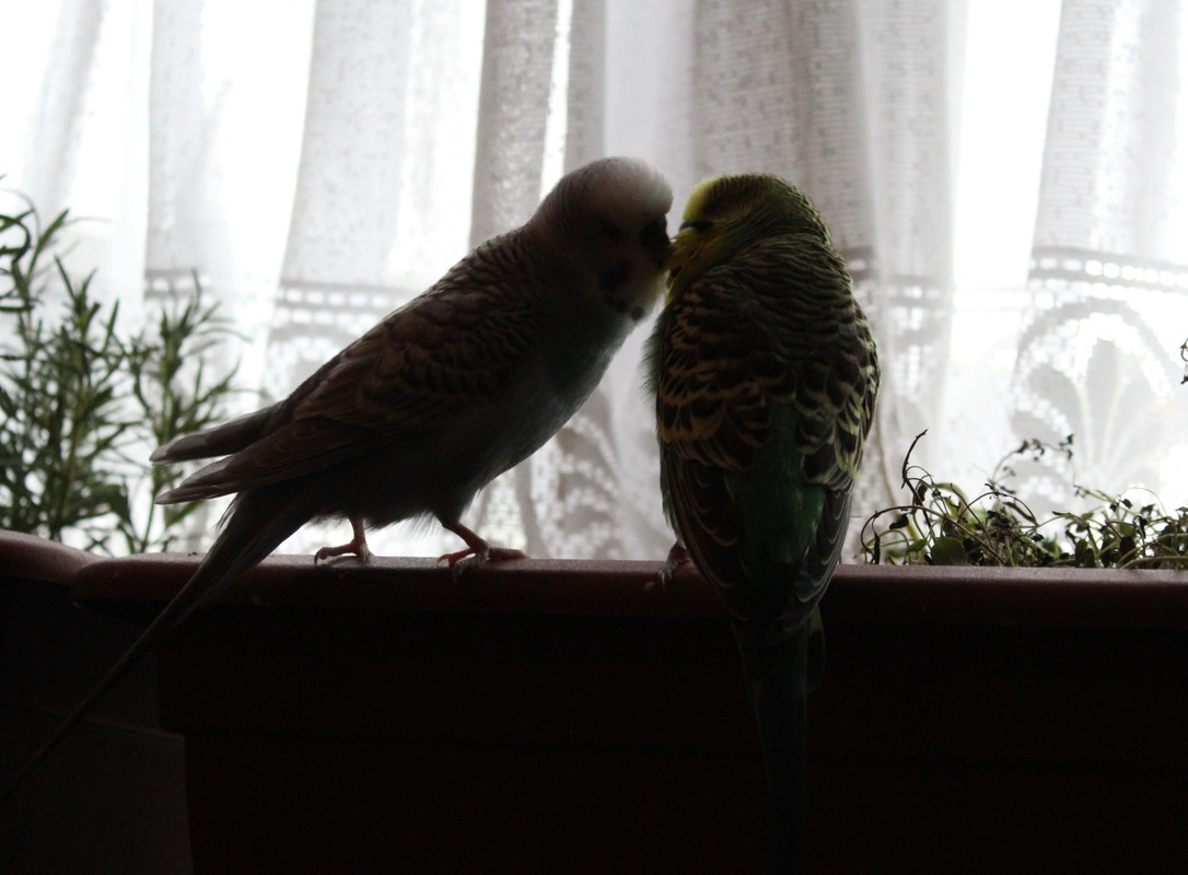 20231216160023 IMG 2157 — Postimages