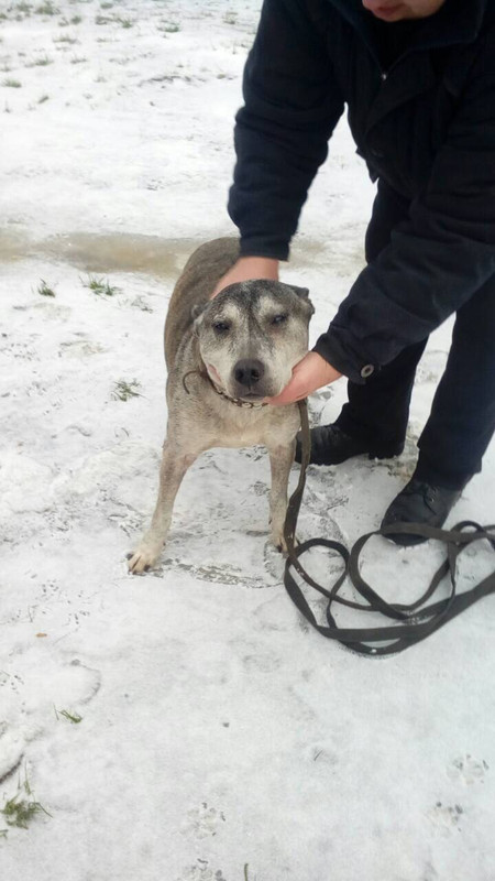 C766CD75-65FA-49B7-BF78-D240ACEF5E19