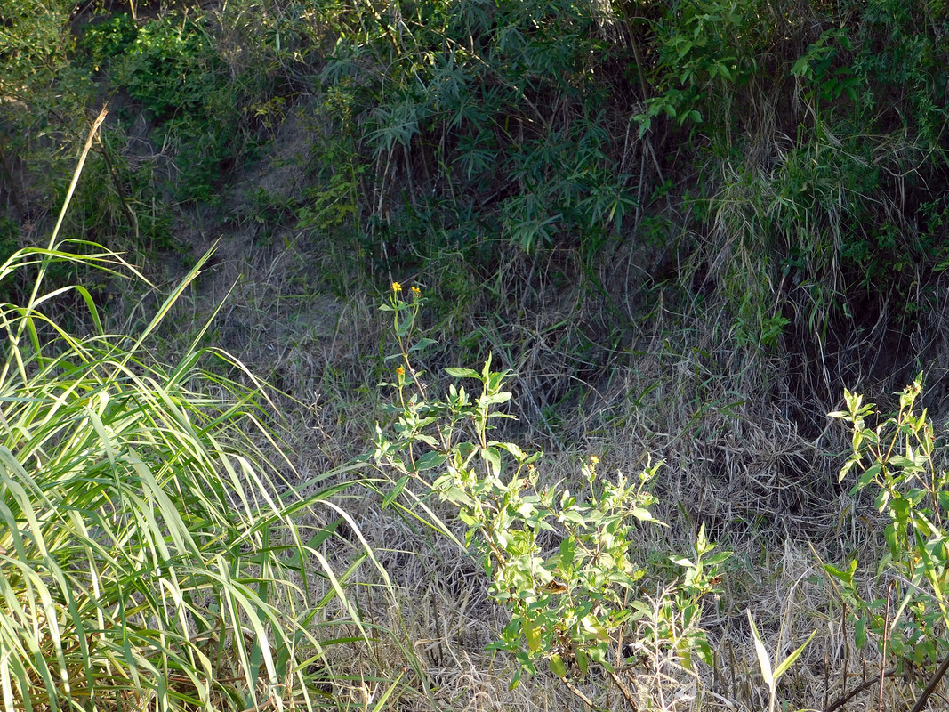 DSCN0236.jpg