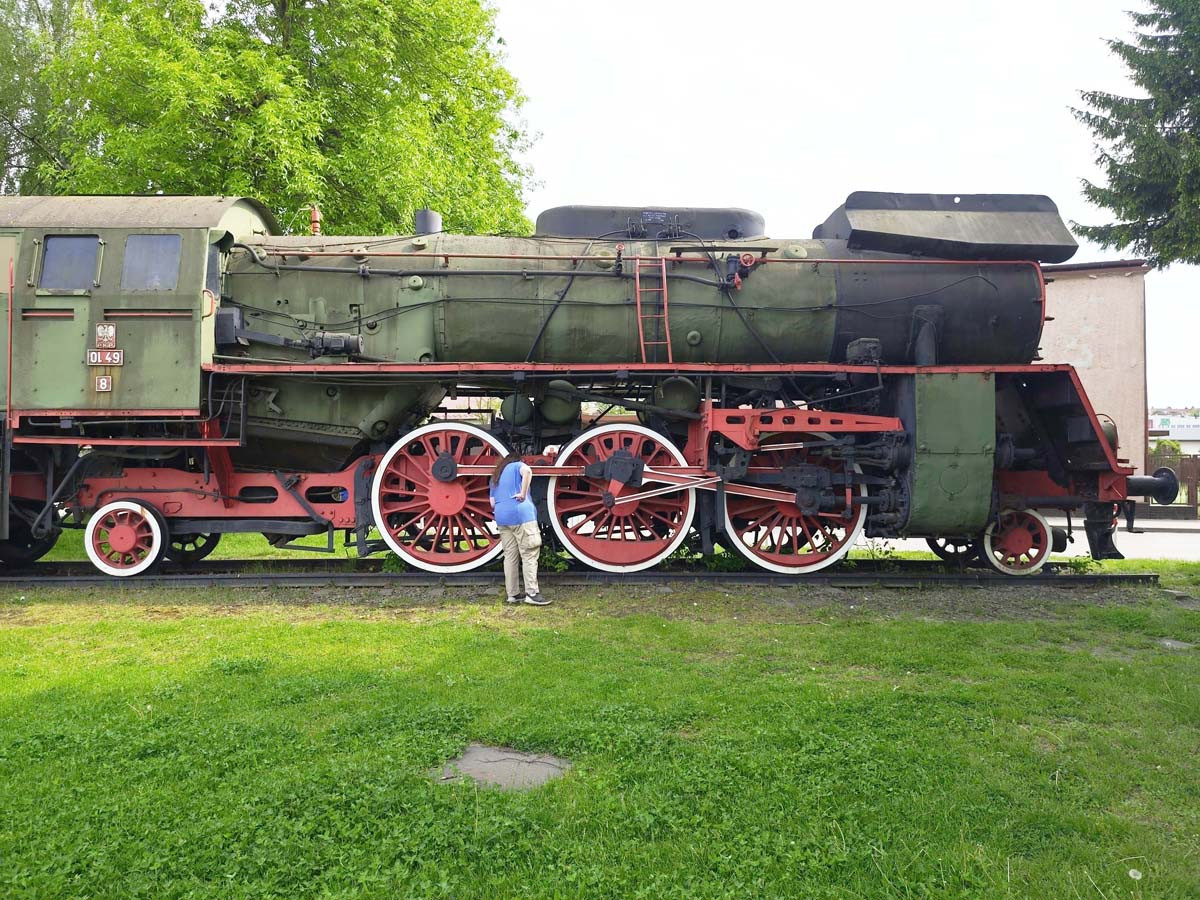 piwstdztr (3)