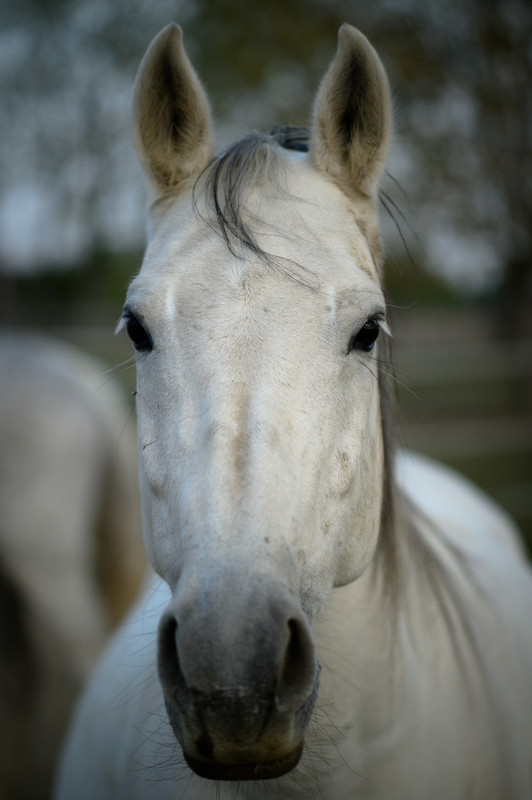 6D2961D5-F728-40D8-B212-1C09E0A99A2D