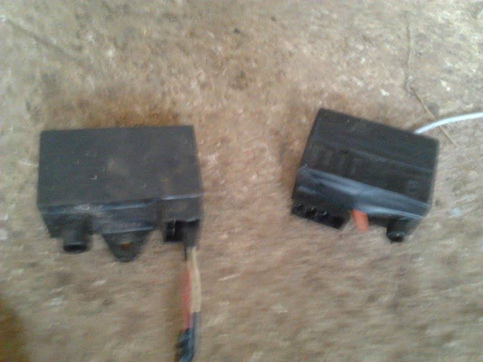 11198923_1010436748967320_1857135175_n