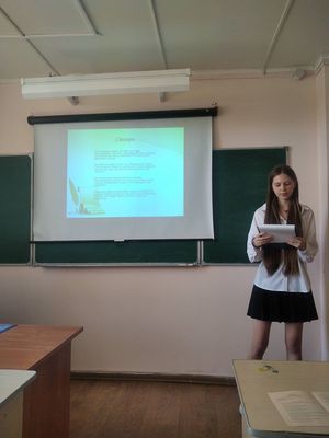 Дебют