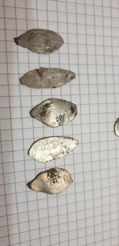 IMG_20220803_102937_721