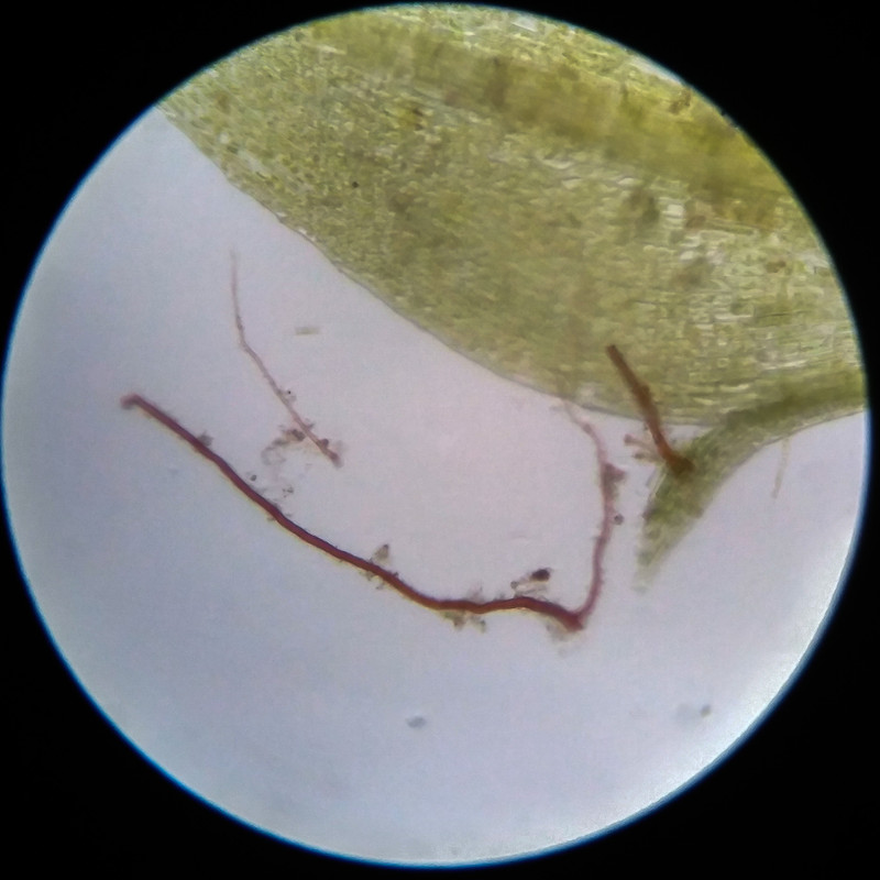 IMG 20250617 114129 HDR