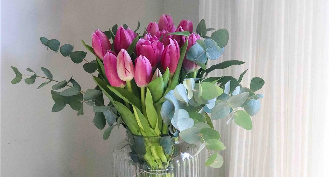 ¿Qué hacer para que duren más mis tulipanes?