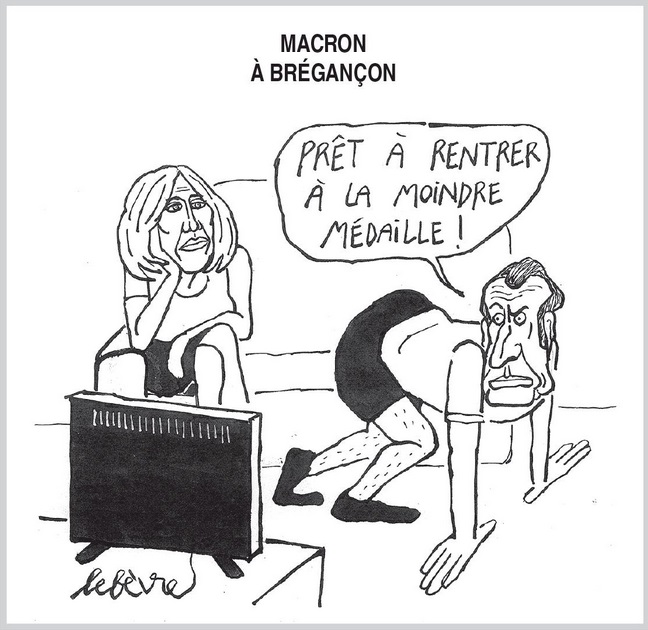 text alternatif