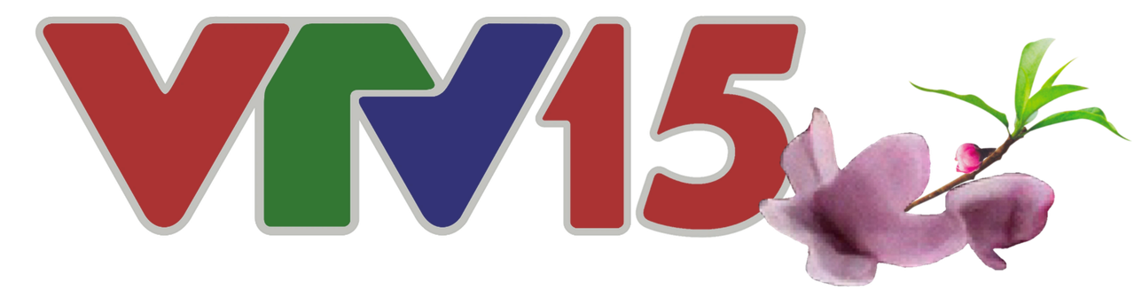 VTV15_Lunar_New_Year_logo_08-17.02.2013